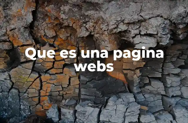 Que es una Pagina Webs