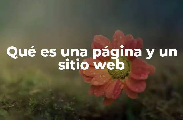 Qué es una Página y un Sitio Web