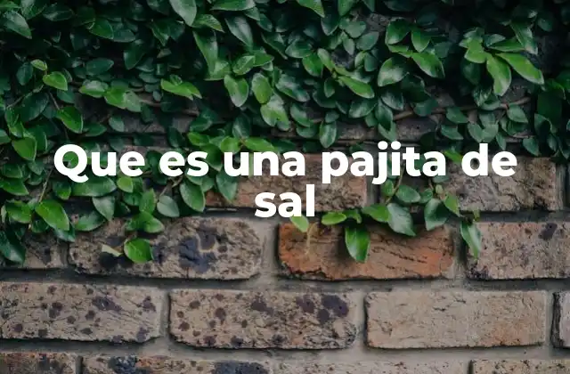 Que es una Pajita de Sal