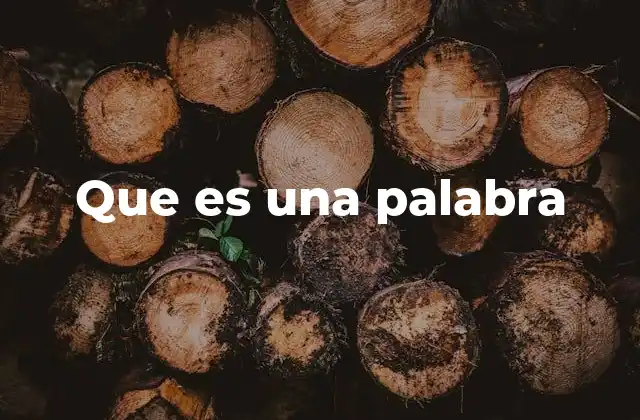 Que es una Palabra