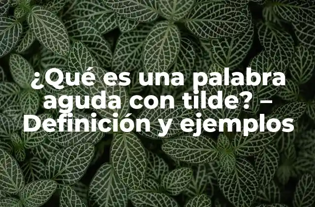 ¿qué es una Palabra Aguda con Tilde? - Definición y Ejemplos 2 ¿Cuál es la función de la tilde en las palabras agudas?