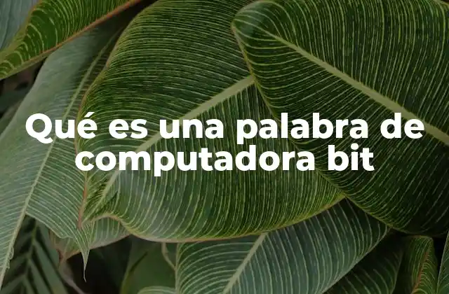 Qué es una Palabra de Computadora Bit