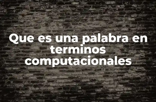 Que es una Palabra en Terminos Computacionales