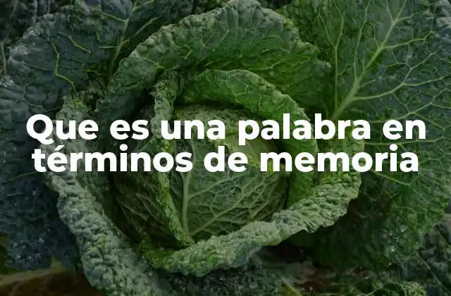 Que es una Palabra en Términos de Memoria 2 La palabra como unidad de información en el cerebro