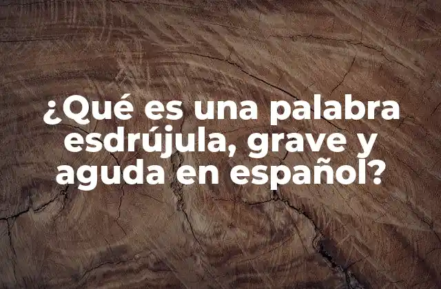 ¿Qué es una palabra esdrújula?