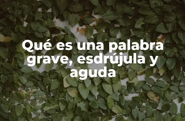 Qué es una Palabra Grave, Esdrújula y Aguda 2 Cómo diferenciar entre palabras agudas, graves y esdrújulas