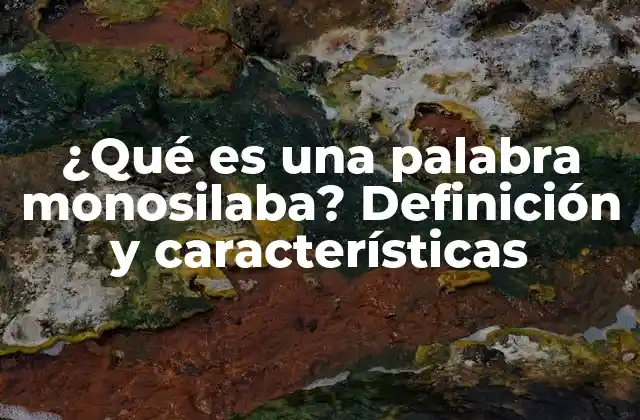 Definición de palabra monosilaba