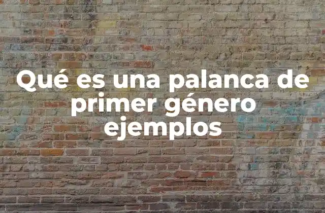 Qué es una Palanca de Primer Género Ejemplos