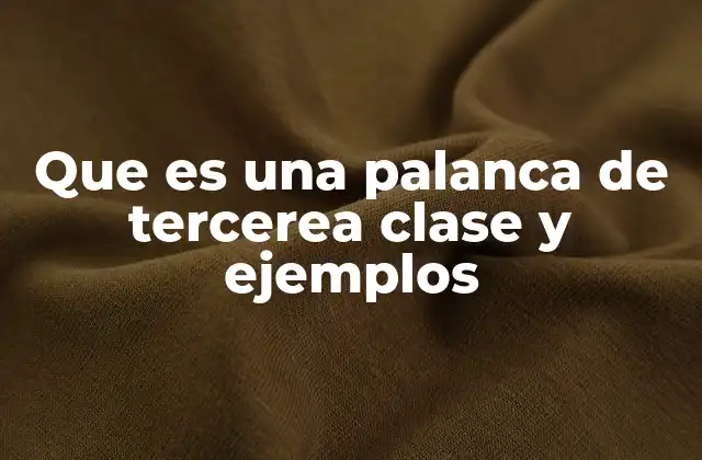 Que es una Palanca de Tercerea Clase y Ejemplos