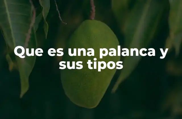 Que es una Palanca y Sus Tipos