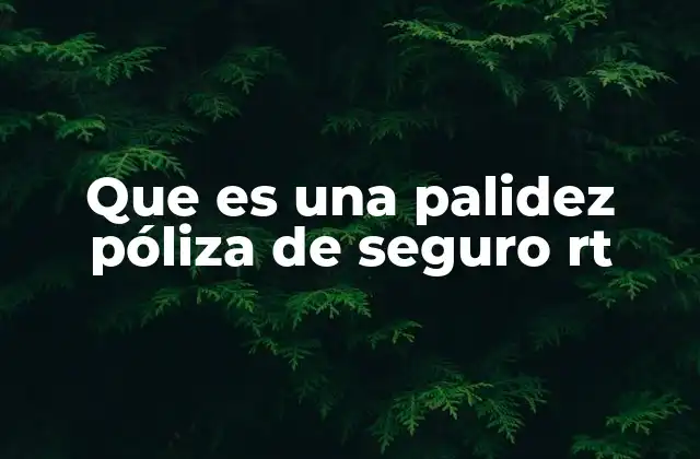 Que es una Palidez Póliza de Seguro Rt