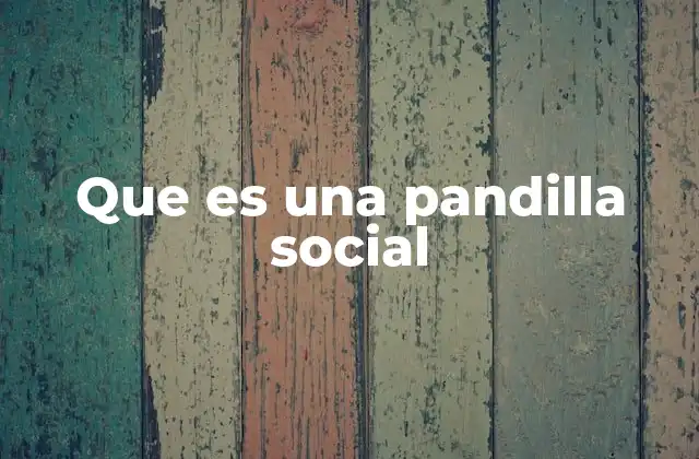 Que es una Pandilla Social