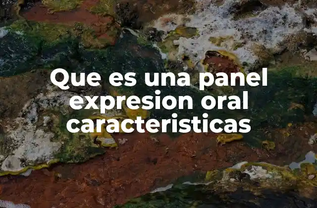 Que es una Panel Expresion Oral Caracteristicas