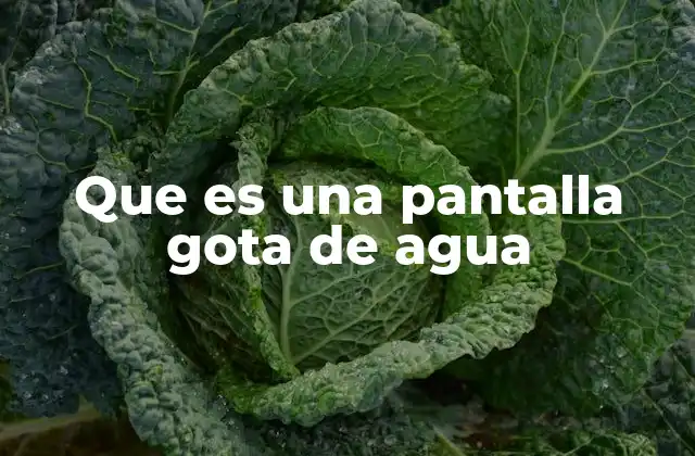 Que es una Pantalla Gota de Agua