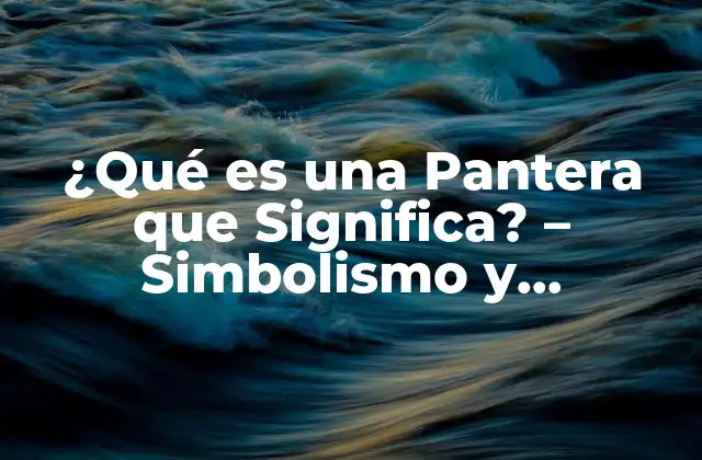 ¿qué es una Pantera que Significa? – Simbolismo y Significado