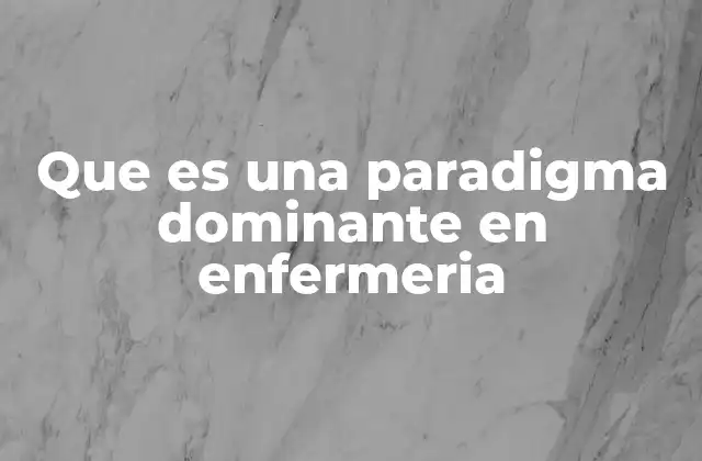 Que es una Paradigma Dominante en Enfermeria