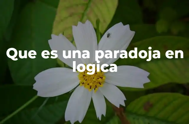 Que es una Paradoja en Logica