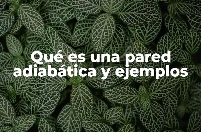 Qué es una Pared Adiabática y Ejemplos