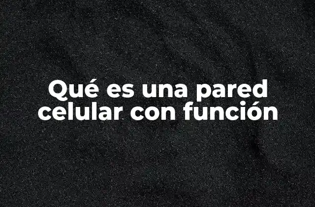 La importancia de la estructura externa en la supervivencia celular