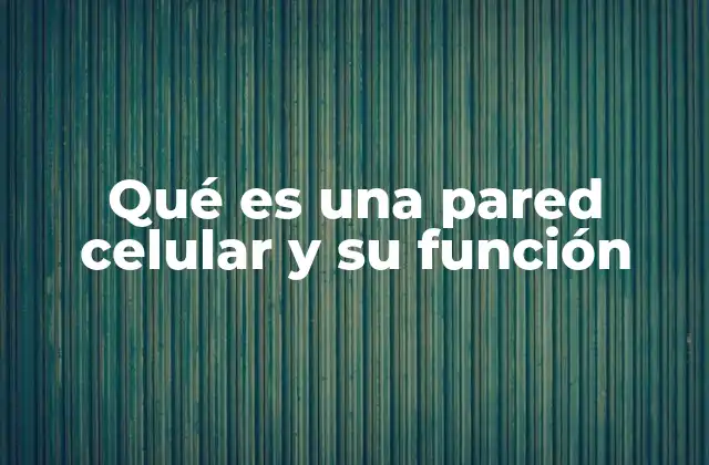 Qué es una Pared Celular y Su Función