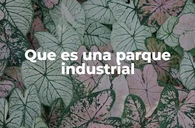 Que es una Parque Industrial
