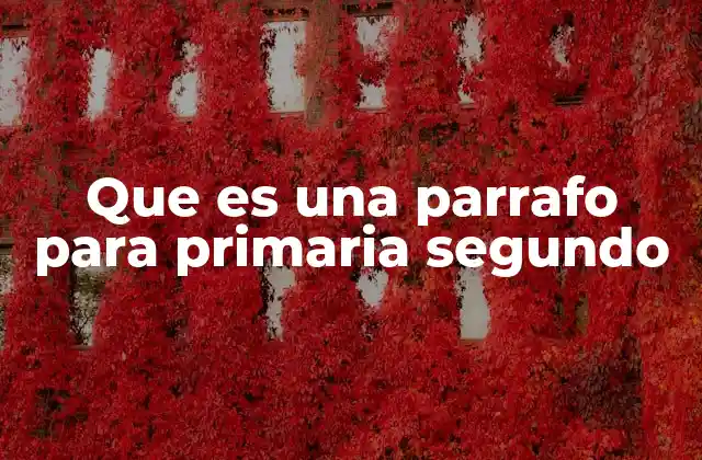 Que es una Parrafo para Primaria Segundo