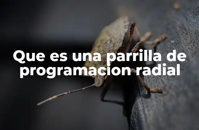 Que es una Parrilla de Programacion Radial