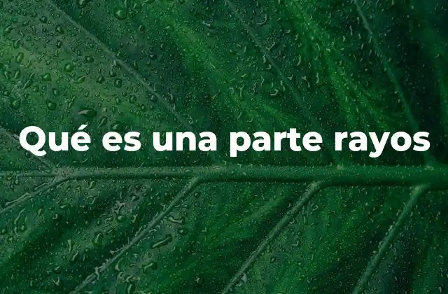 Qué es una Parte Rayos