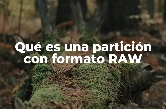 Qué es una Partición con Formato Raw