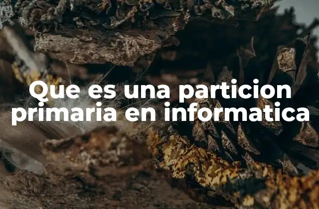 Que es una Particion Primaria en Informatica 2 La importancia de las particiones en la gestión de discos