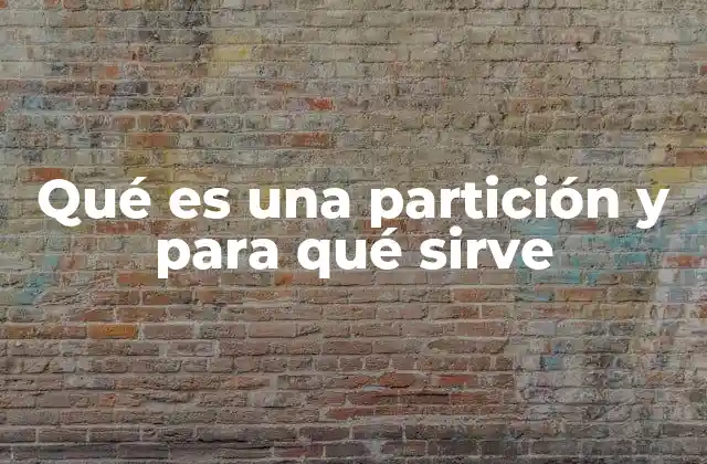 Qué es una Partición y para Qué Sirve