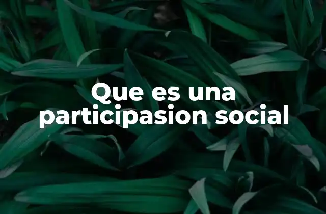 Que es una Participasion Social