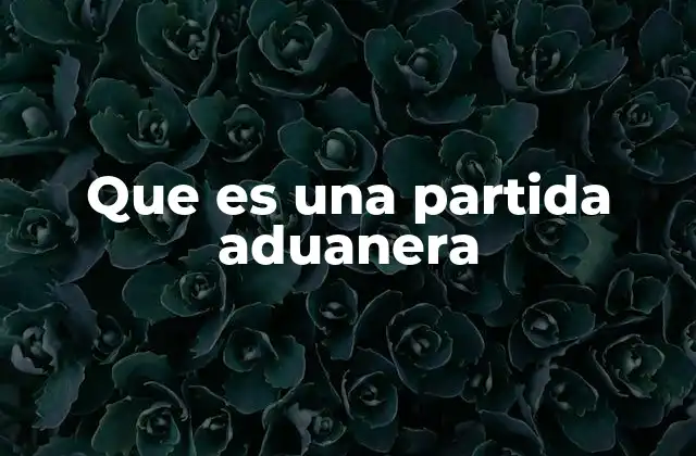 Que es una Partida Aduanera