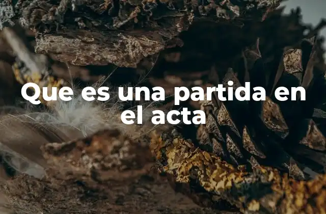 Que es una Partida en el Acta