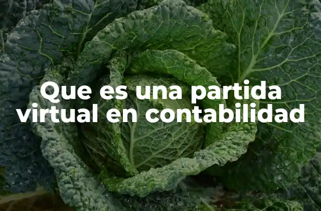 Que es una Partida Virtual en Contabilidad