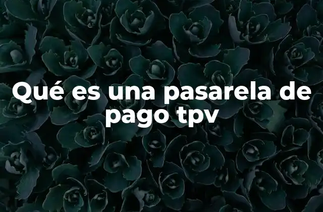 Qué es una Pasarela de Pago Tpv
