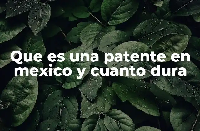 Que es una Patente en Mexico y Cuanto Dura