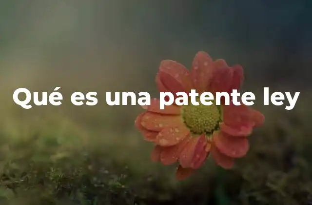 Qué es una Patente Ley