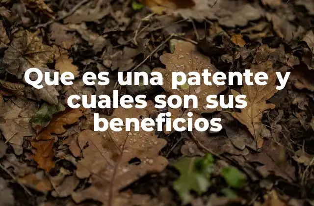 Que es una Patente y Cuales Son Sus Beneficios