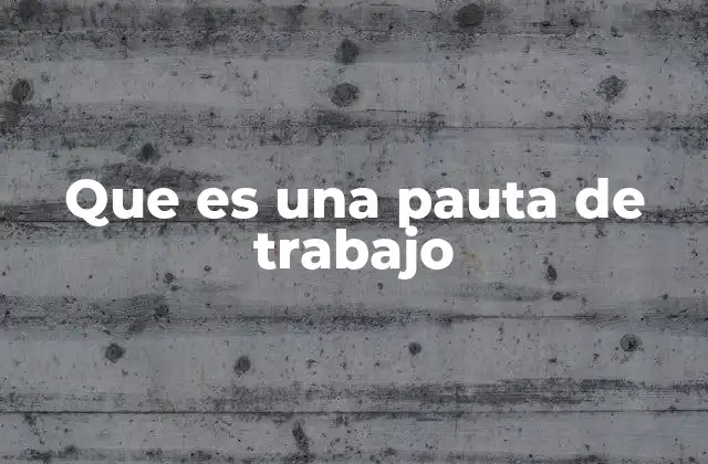 Que es una Pauta de Trabajo