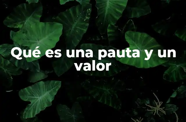 La relación entre principios y normas en el comportamiento humano