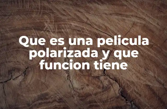 Que es una Pelicula Polarizada y que Funcion Tiene