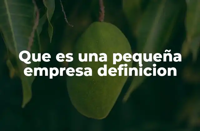 Que es una Pequeña Empresa Definicion