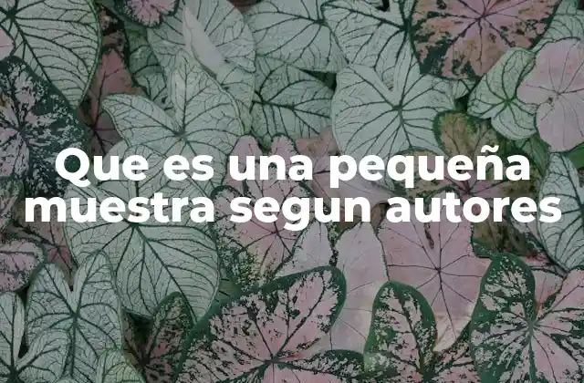 Que es una Pequeña Muestra Segun Autores