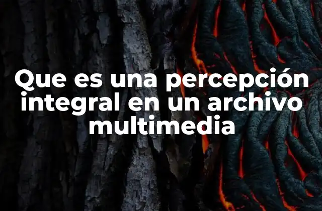 Que es una Percepción Integral en un Archivo Multimedia