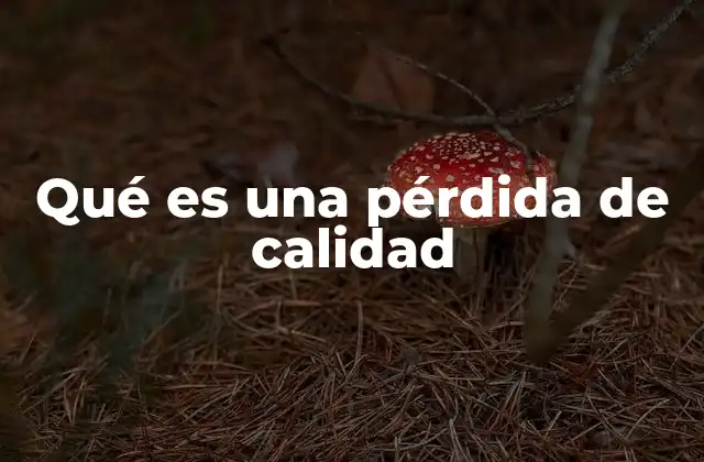 Qué es una Pérdida de Calidad