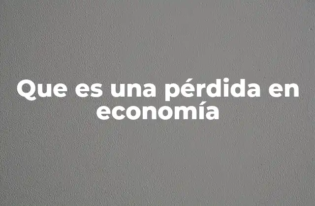 Que es una Pérdida en Economía