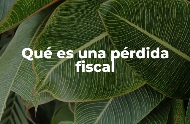Qué es una Pérdida Fiscal