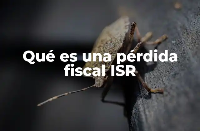 Qué es una Pérdida Fiscal Isr 2 La importancia de las pérdidas fiscales en el cálculo del ISR