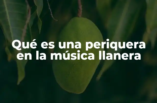 Qué es una Periquera en la Música Llanera
